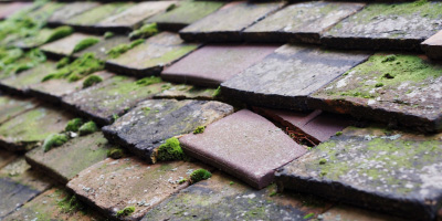 Bishopsworth roof repair costs